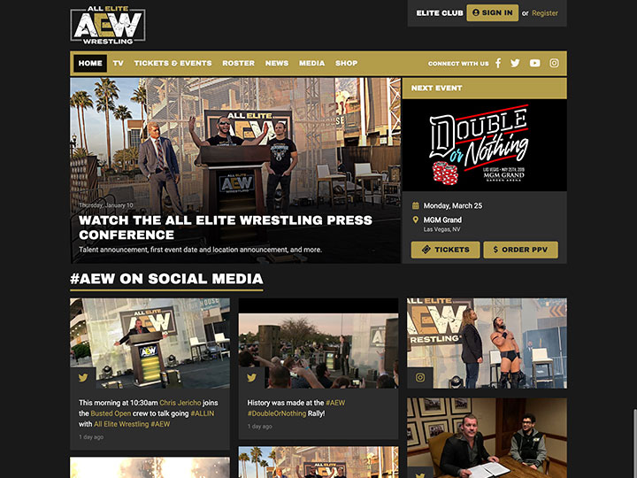 All Elite Wrestling web design mock-up