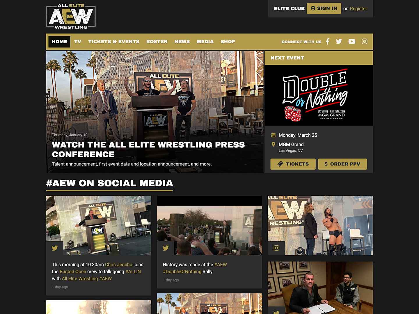 All Elite Wrestling web design mockup Your Fight Site